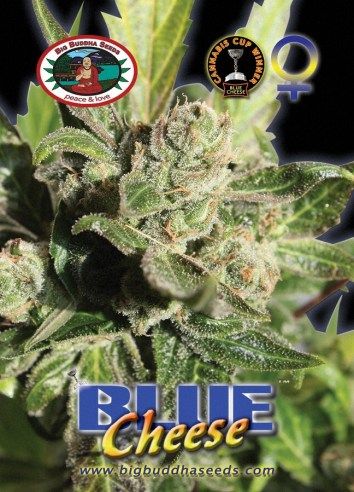 Blue Cheese