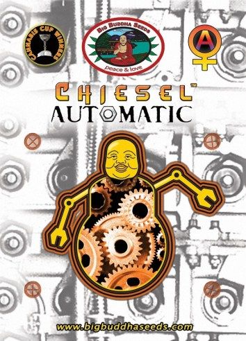 Chiesel Automatic