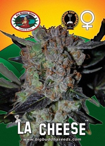 L.A. Cheese