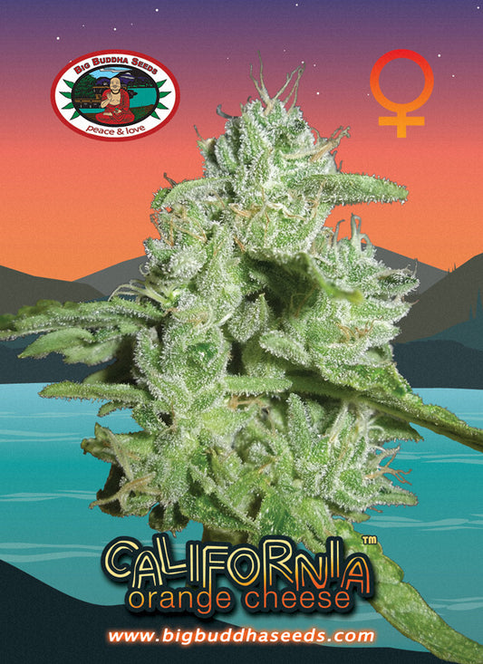 California Orange Cheese