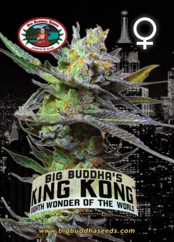 King Kong