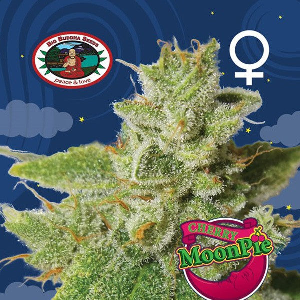 Cherry Moon Pie
